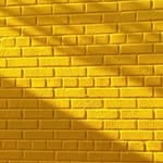 this wall (@sorryaboutthiswall)