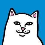 RIPNDIP (@ripndip)