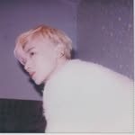 @baijingting