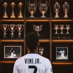@vinijr