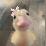 @laura