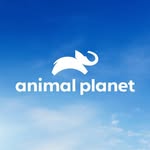 @animalplanet
