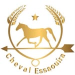 @cheval__essaouira