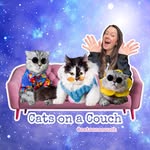 @catsonacouch