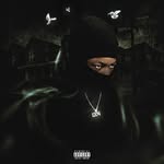 Voice of The 9ine🩸🩸🩸 (@fullyyyychopppp)