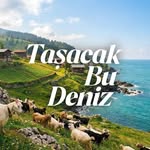 @tasacakbudenizdizi