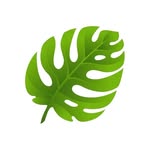 @plantsandgardeningideas
