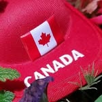 @canada.social